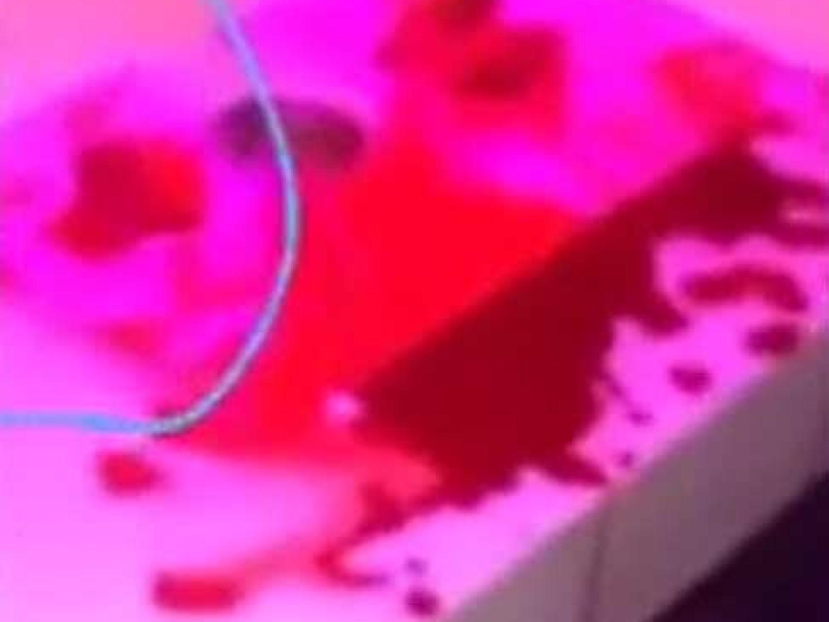 Imagen del vídeo que se ha hecho viral