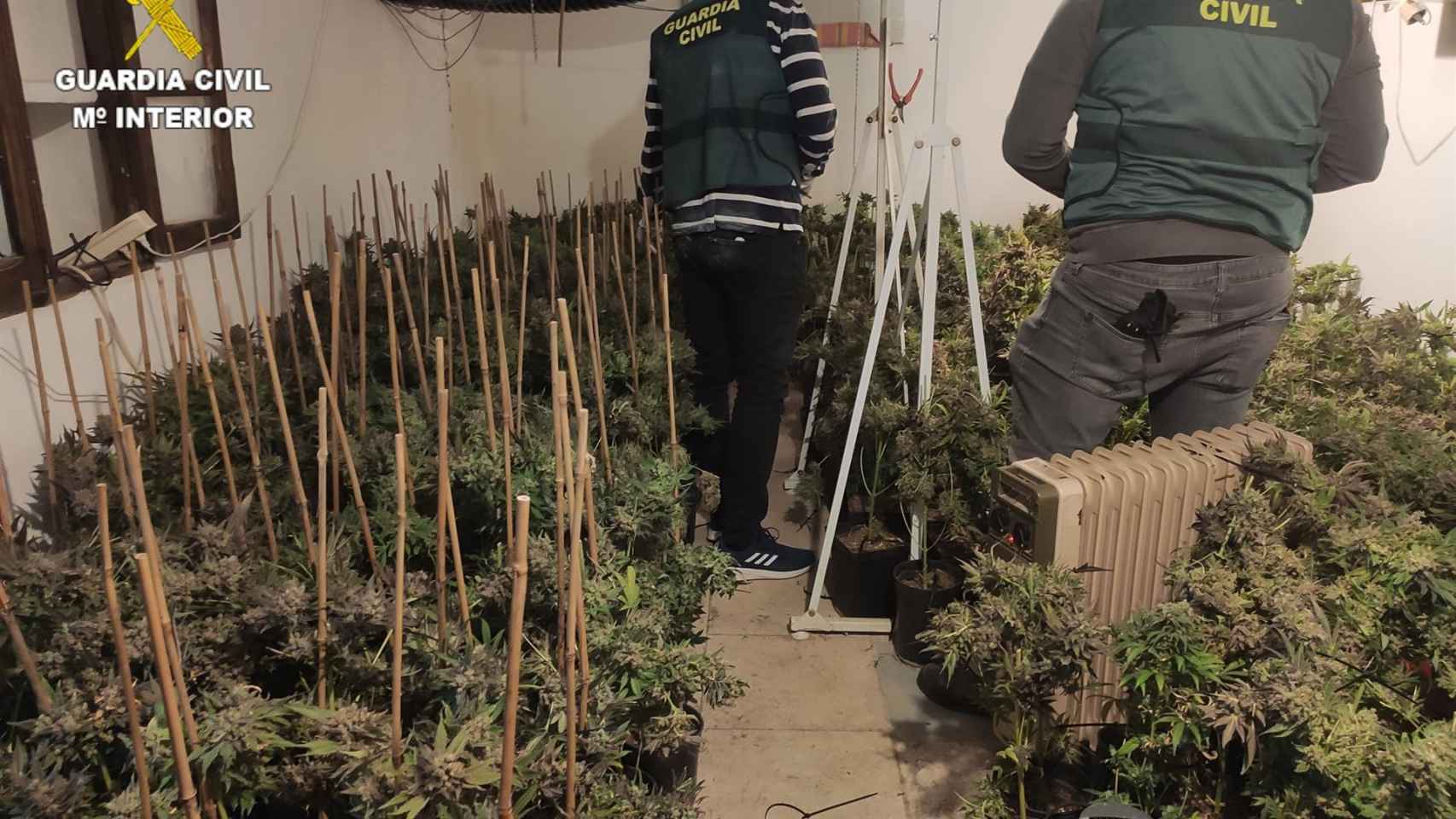 Plantación indoor de marihuana en Cuenca. Foto: Guardia Civil