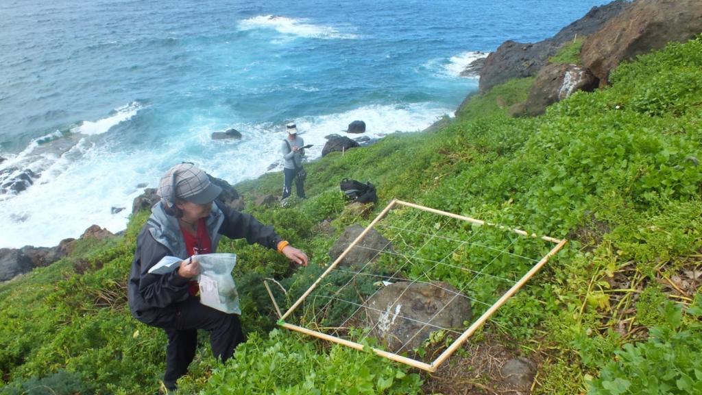 Los investigadores del IBB-CSIC en las Islas Salvajes.