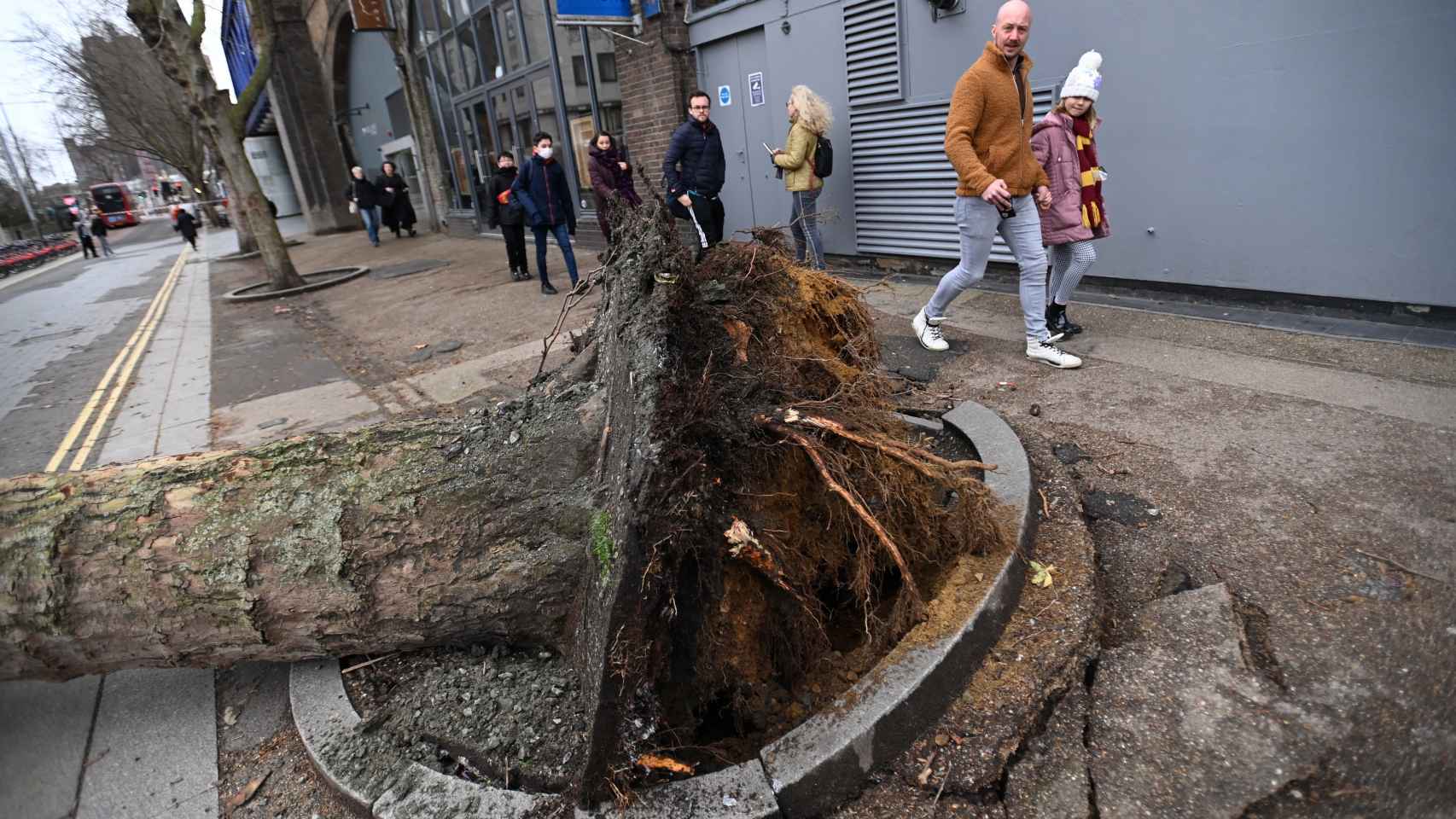 Un árbol caído en Londres.