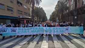 Dirigentes socialistas en la provincia de Málaga en la manifestación en defensa de la sanidad pública.