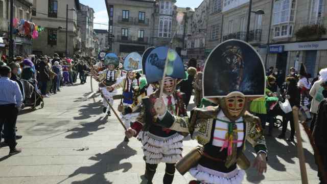 Cigarrones en Verín (Ourense).