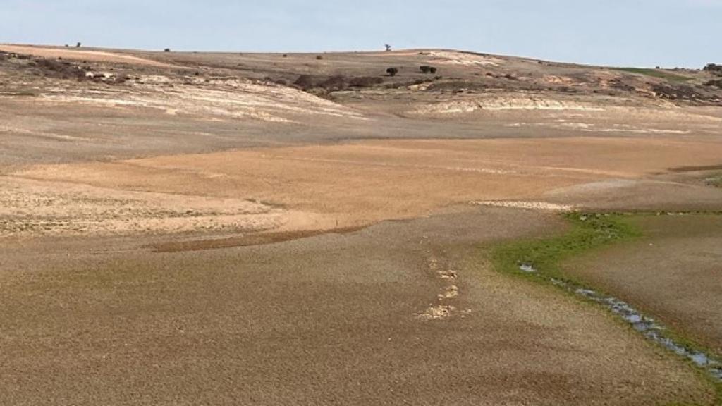 Tierras de cultivo en el embalse de Ricobayo | Foto: Ecologistas en Acción