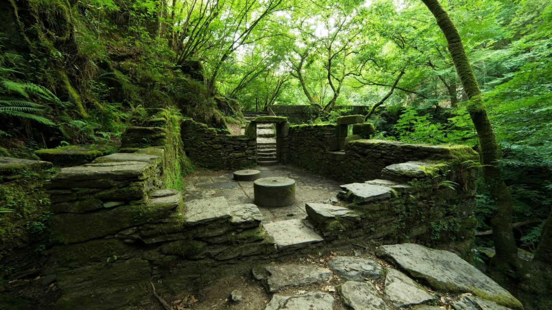 Parque natural Fragas do Eume. Foto: Turismo de Galicia