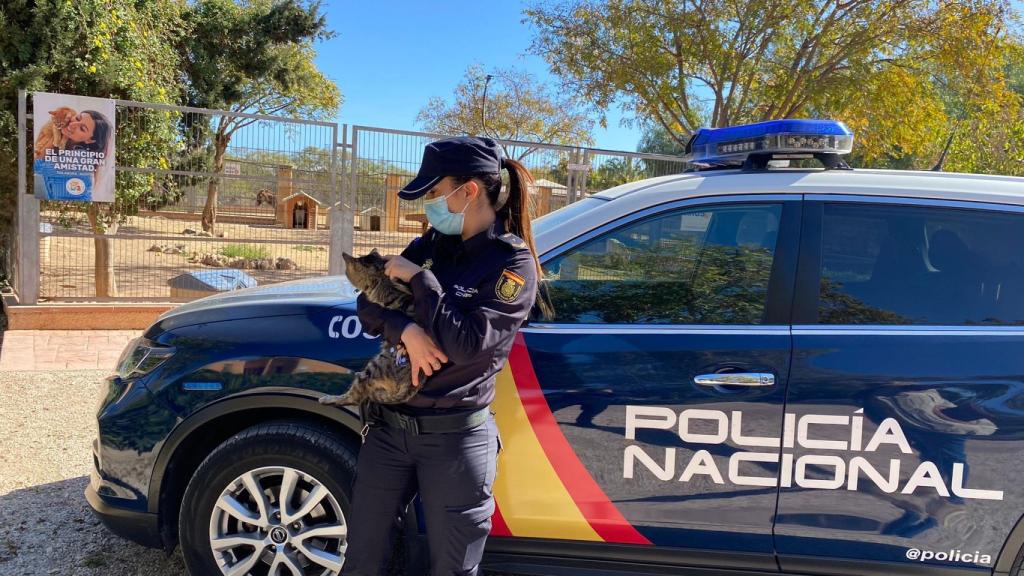 Un vehículo de la Policía Nacional en la inmediaciones de la Protectora de Animales.