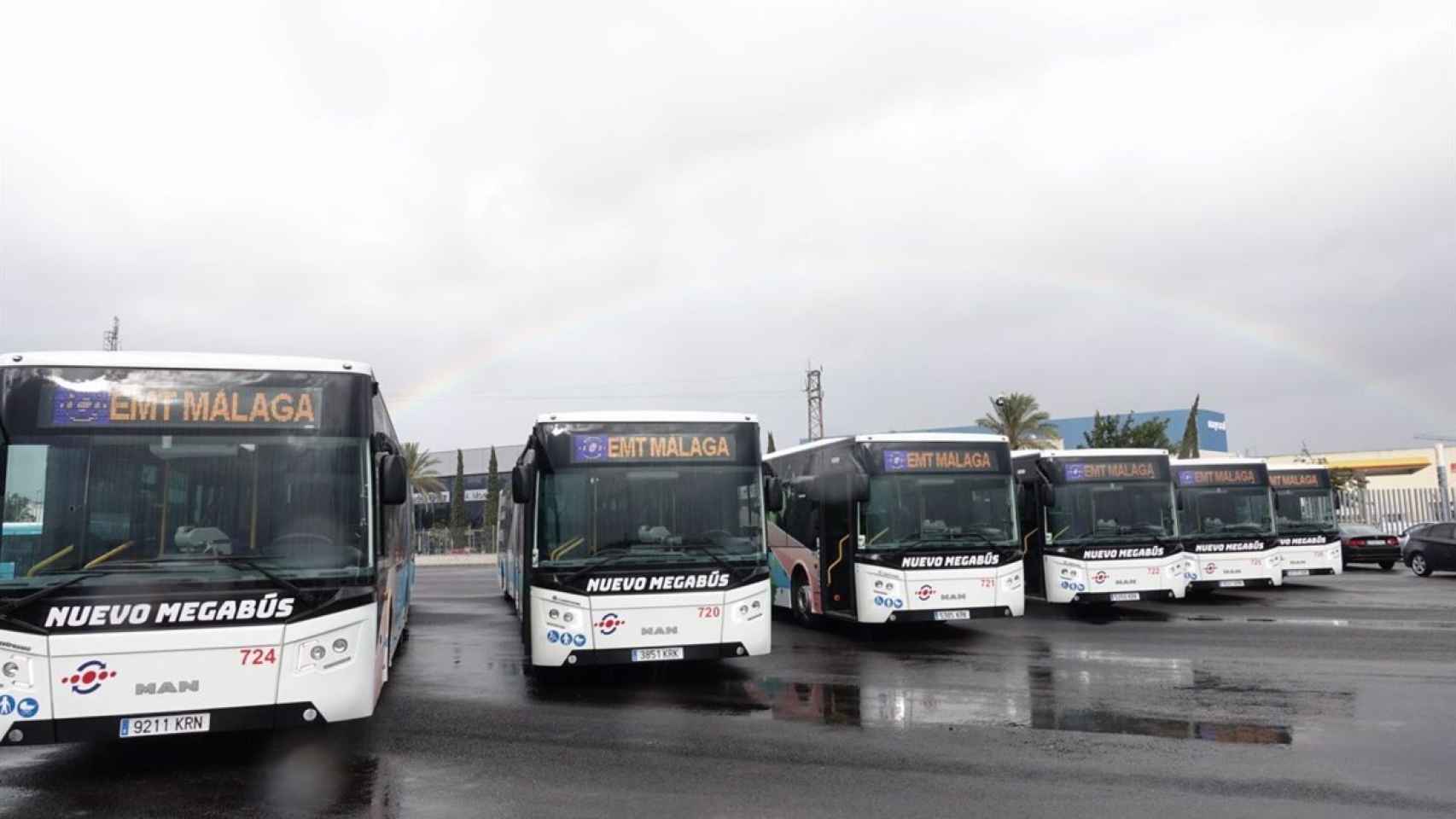 Varios autobuses de la EMT de Málaga.