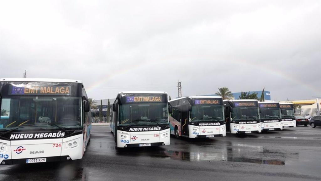 Varios autobuses de la EMT de Málaga.