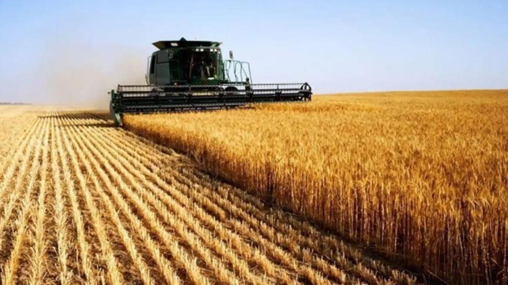 Una cosechadora corta el cereal en un campo de Castilla y León