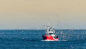 Agencia Europea de Control de la Pesca: una travesía hacia el cumplimiento y la sostenibilidad