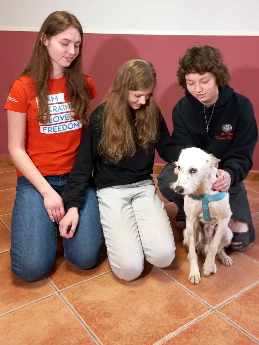 Las tres niñas ucranianas, jugando con el perro del familia Camacho García.