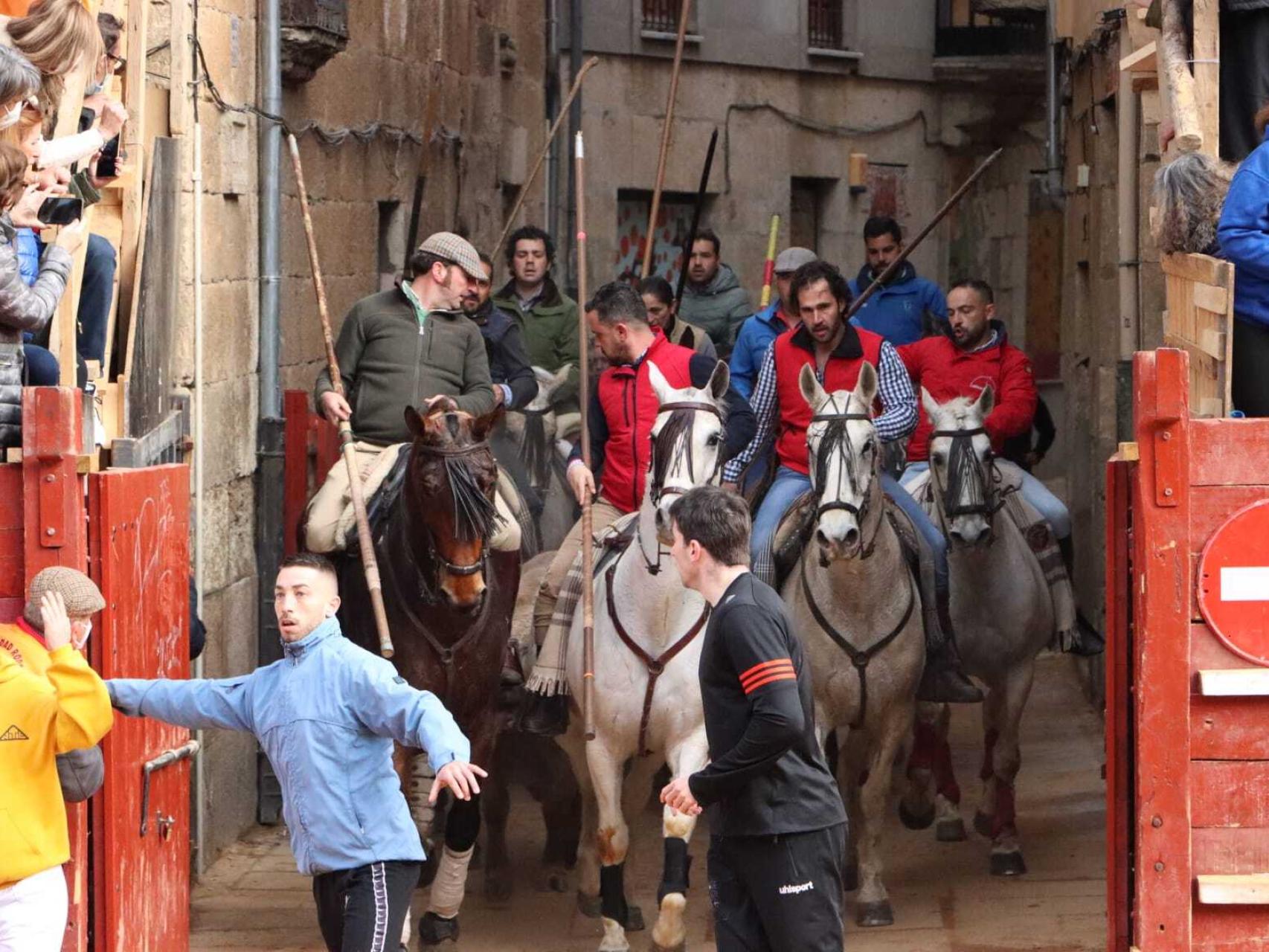 Largo encierro a caballo en el Carnaval de Ciudad Rodrigo