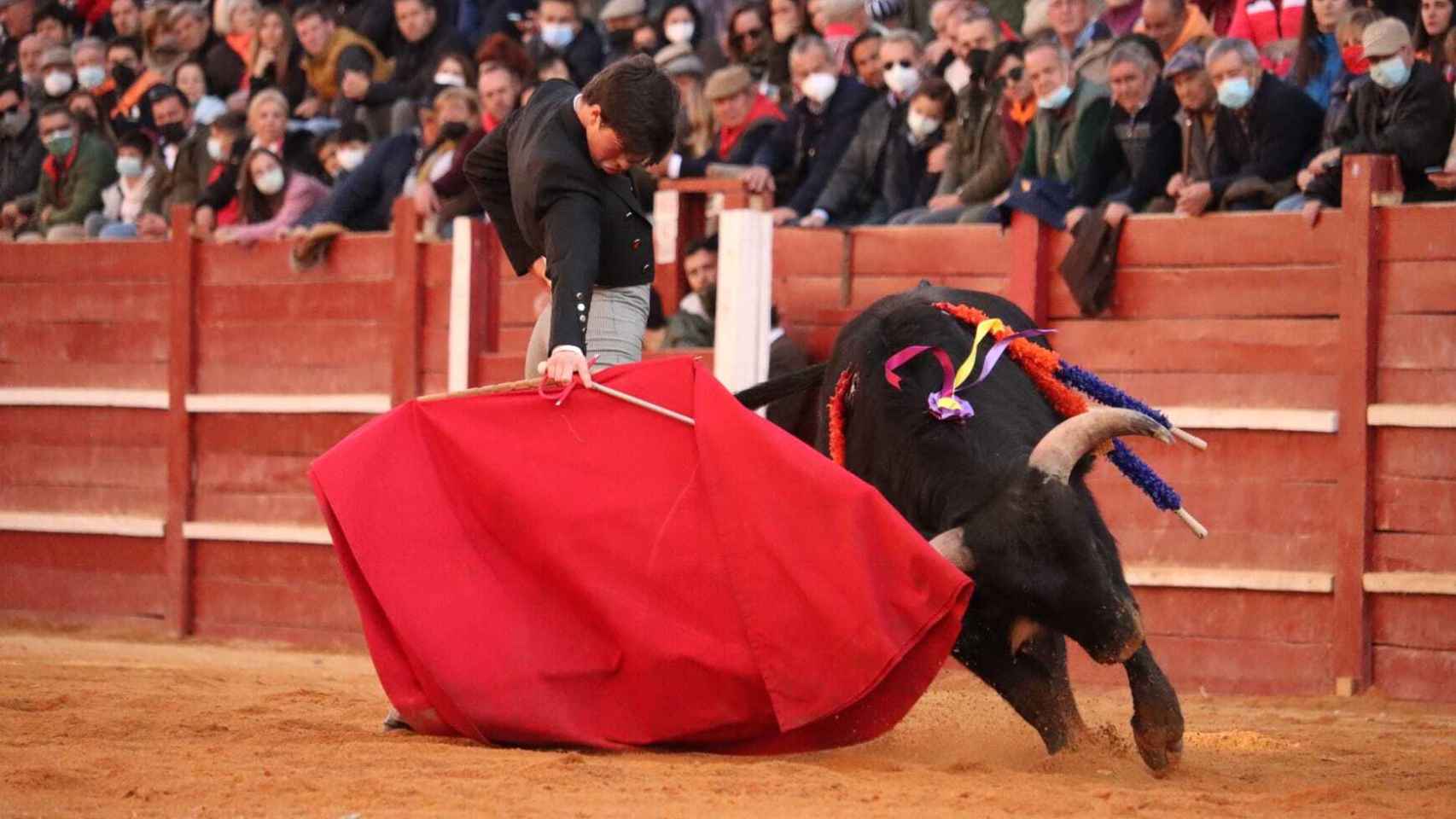 Novillada sin caballos Carnaval del Toro de Ciudad Rodrigo 2022