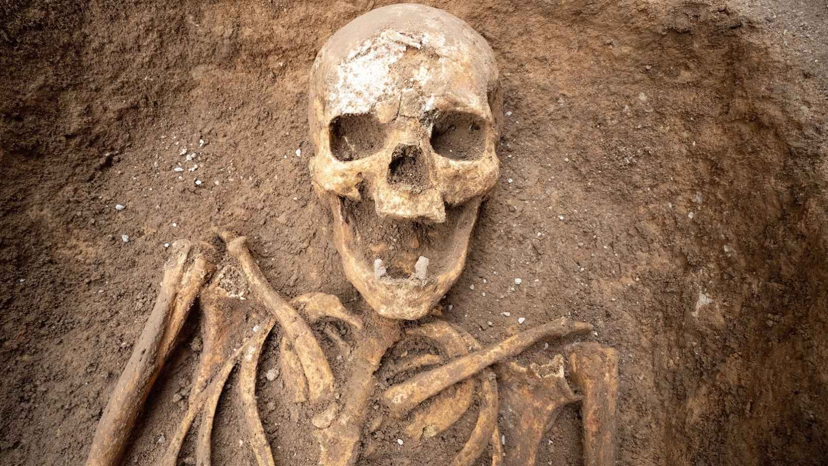 Uno de los esqueletos encontrado en Aspe.