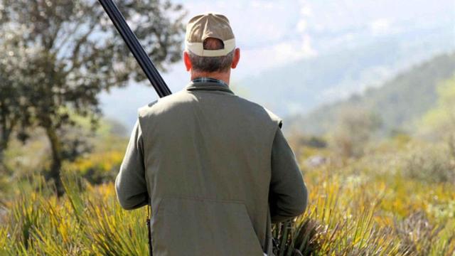 617450315_210928372_1706x960