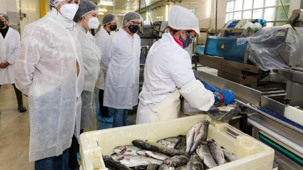 Visita de la conselleira do Mar a la empresa Grupo Tres Mares.