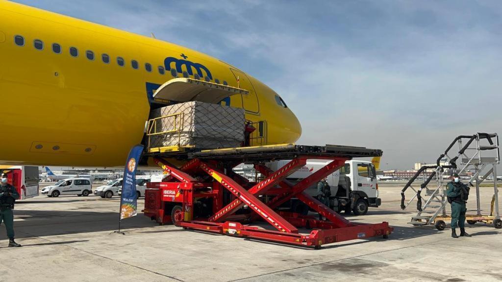 Una imagen del avión fletado.