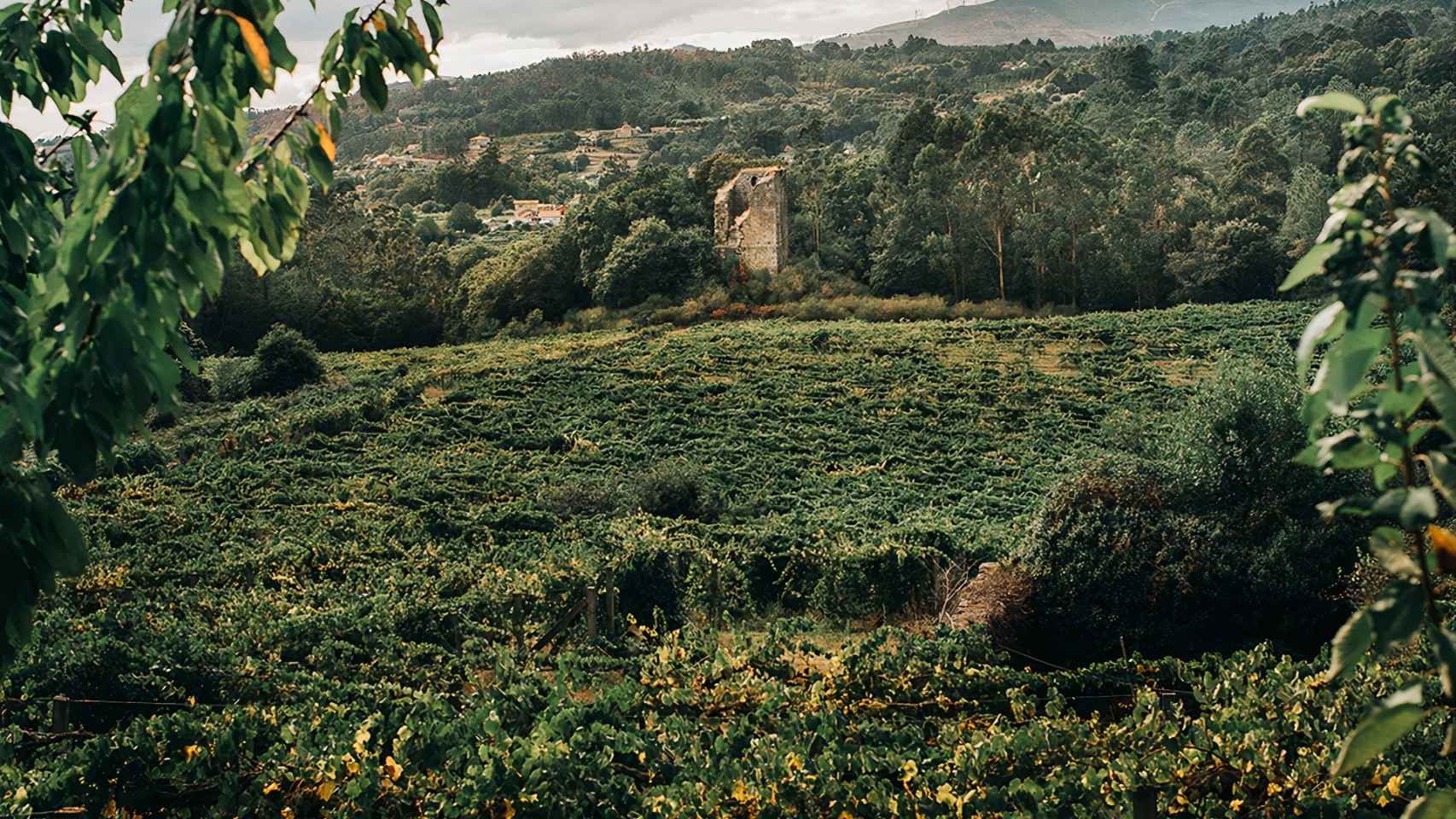 La Torre de Fornelos en Crecente (Pontevedra).