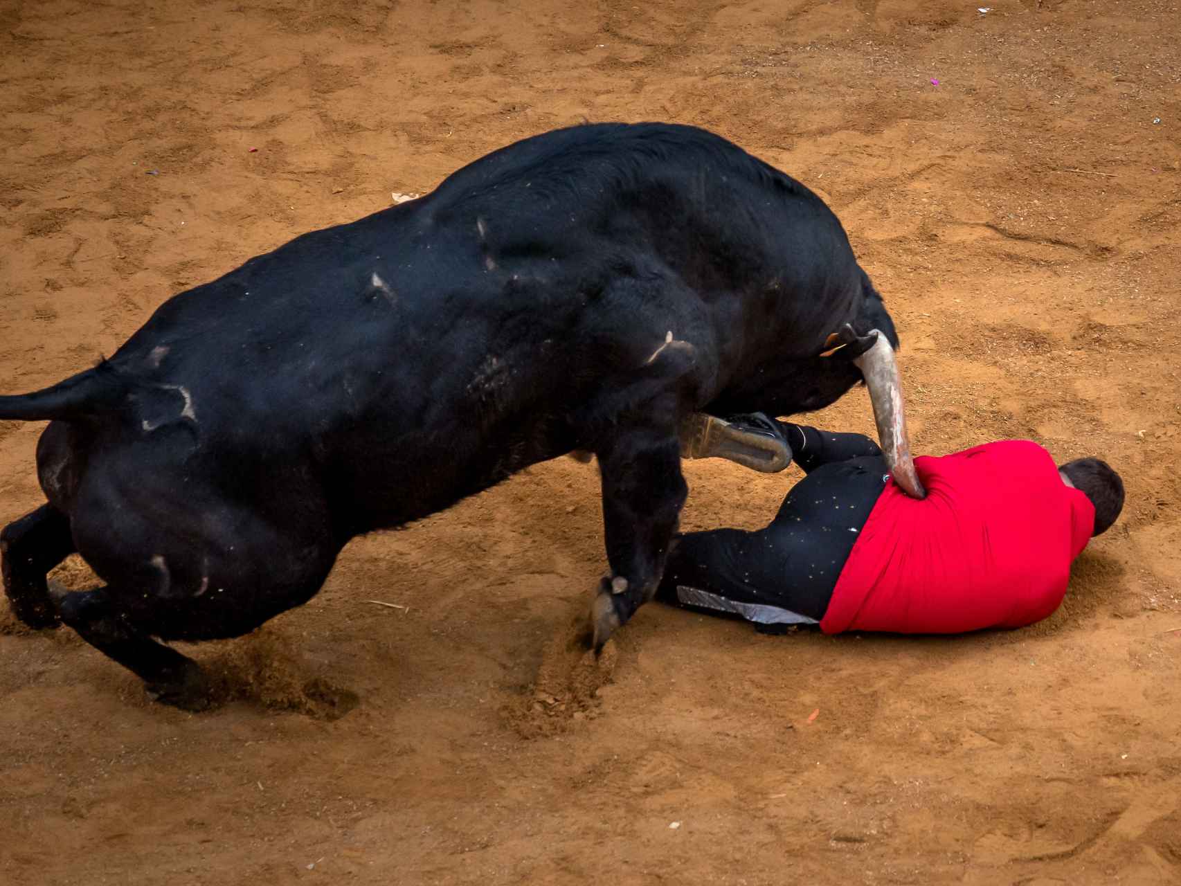 Momento en que el toro hace a por el joven en la capea de la tarde