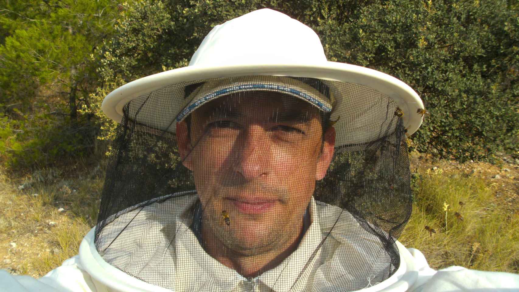 Roberto, el comercial que renació como apicultor: un viaje a través del increíble mundo de las abejas