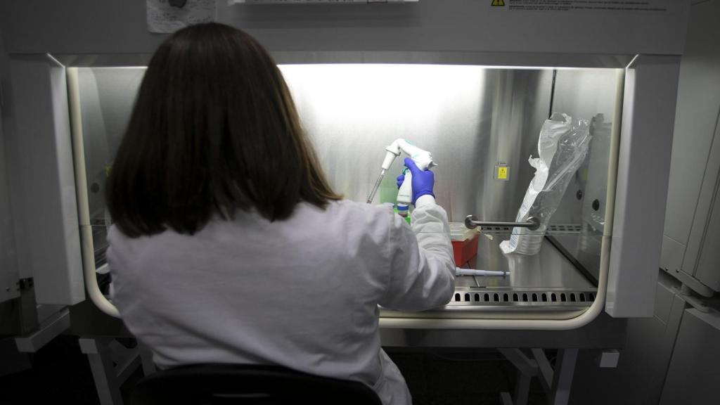 Imagen de archivo de una persona trabajando en un laboratorio.