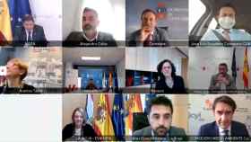 Videoconferencia para abordar la Estrategia Nacional de Caza que no termina de convencer a la Junta de Castilla y León