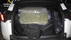 Kenia y Brienne encuentran en Tembleque (Toledo) más de 70 kilos de marihuana oculta