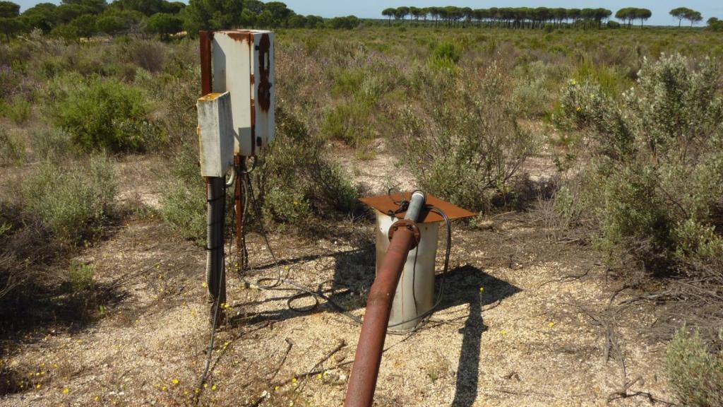 Pozo ilegal en Doñana.