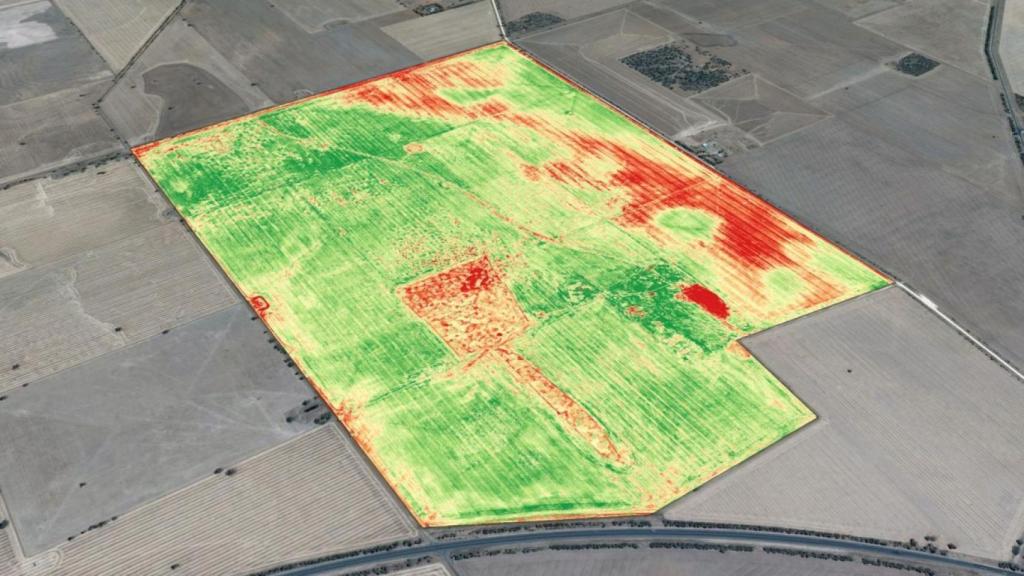 Cropsense, una plataforma para dar soporte a decisiones de manejo de riego.