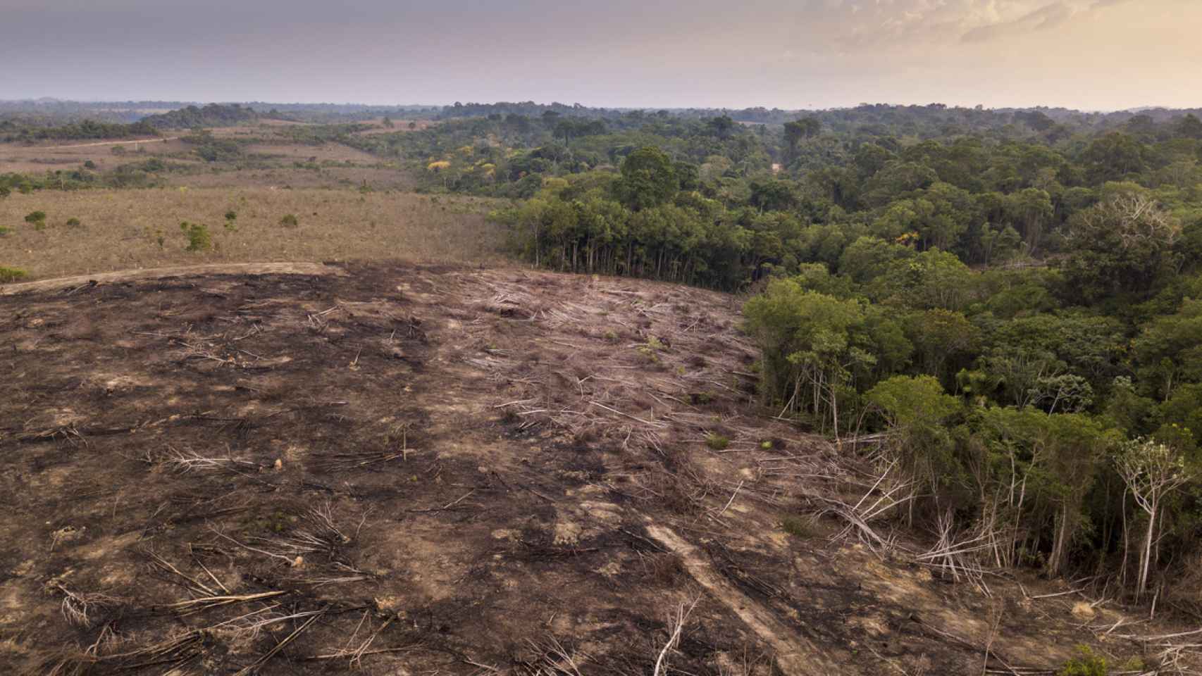 Vista aérea de las talas ilegales para la agricultura y la ganadería en el Bosque Nacional de Jamanxim, Brasil