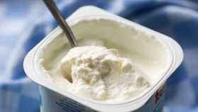 Las propiedades benéficas de las bacterias producto de la fermentación del yogur se conocen desde hace un siglo.