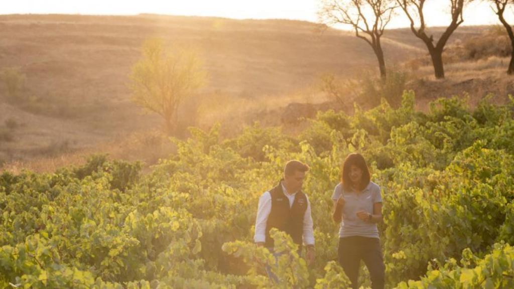 Fuentenebro, un entorno único en la Ribera del Duero