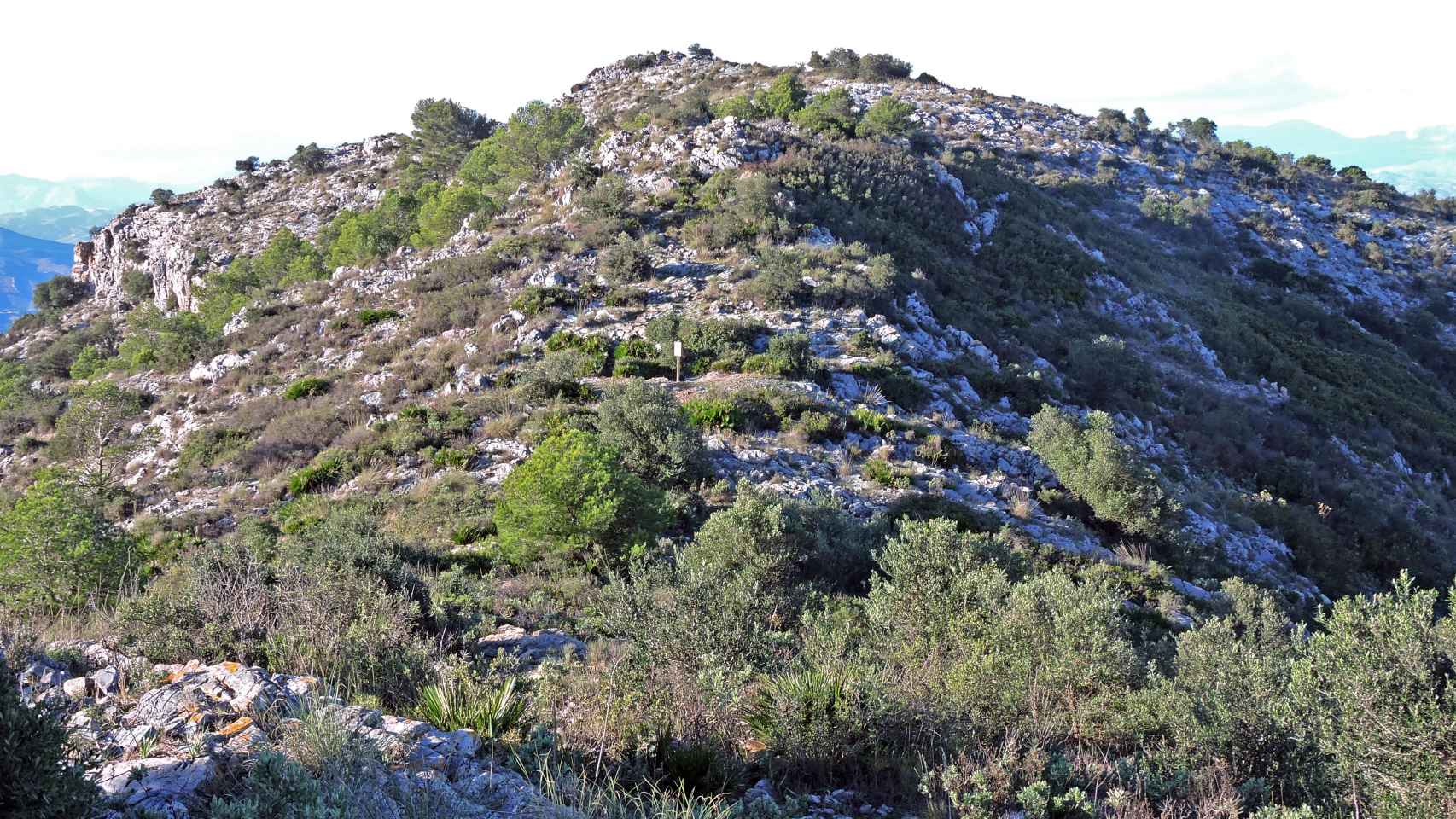 La cima del monte Jabalcuza es escarpada y está pelada.