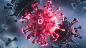 Recreación de un coronavirus.