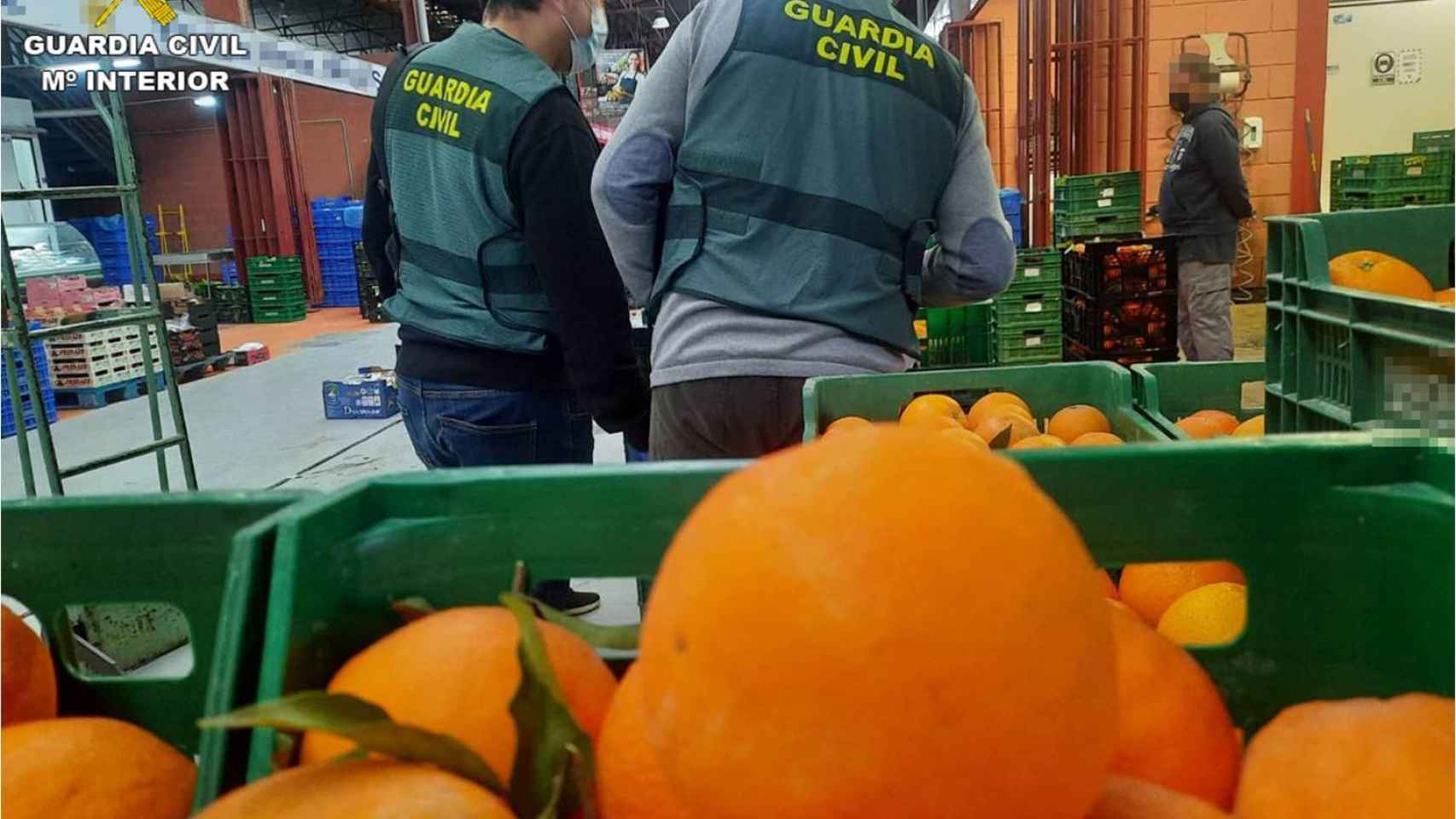 Naranjas confiscadas por la Guardia Civil de Alicante.
