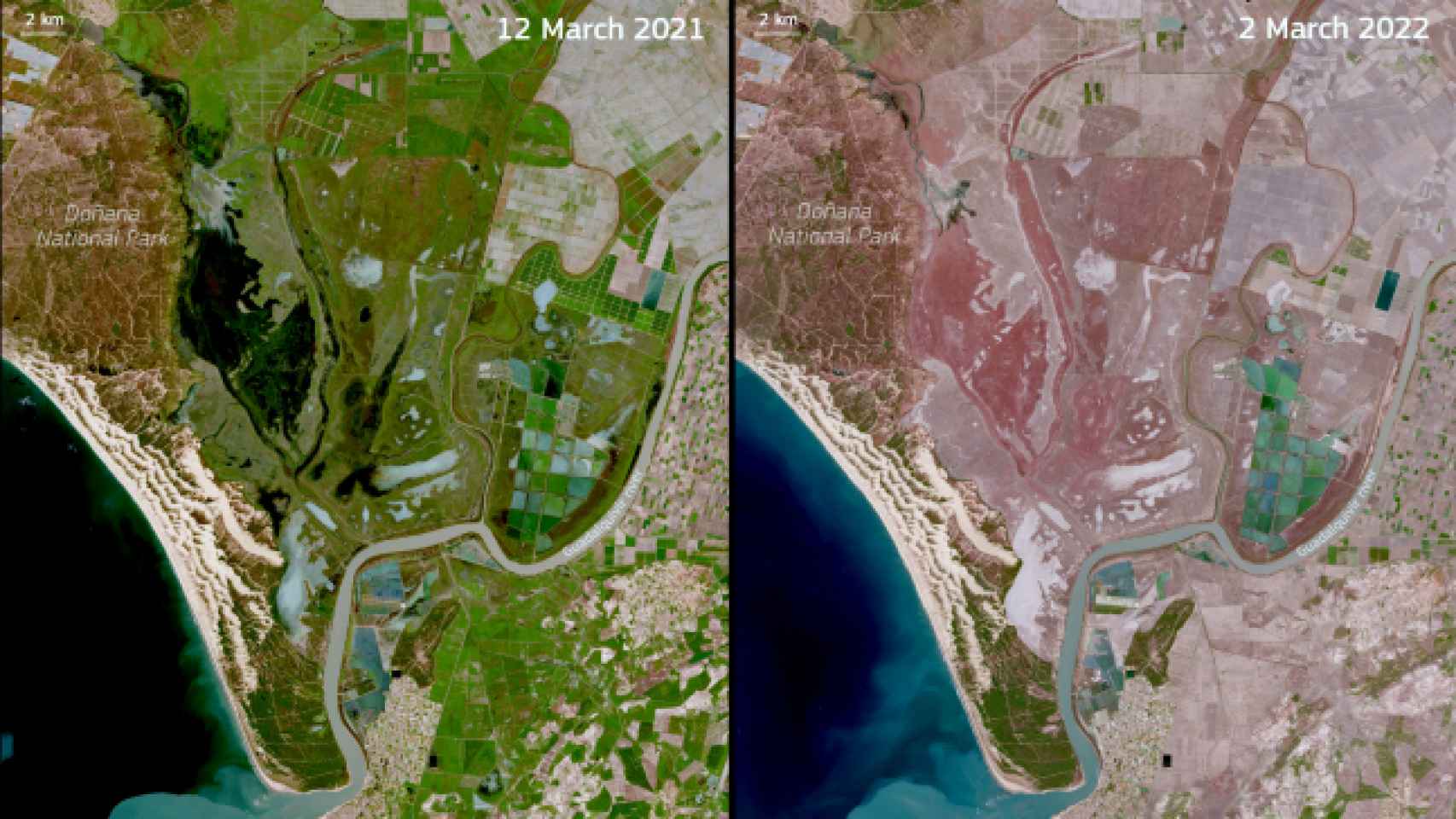 Las imágenes satélites muestran los efectos de la grave sequía que sufre Doñana.