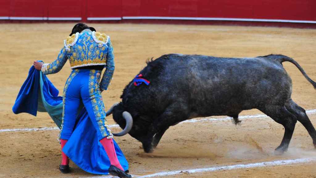 El regreso de los toros a las Fallas de Valencia.