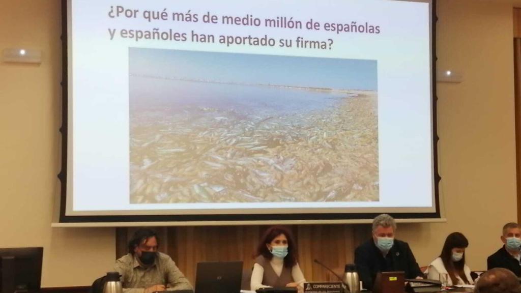 La catedrática de la UMU y voz de la Plataforma ILP, Teresa Vicente, este martes, en la comisión del Congreso de los Diputados.