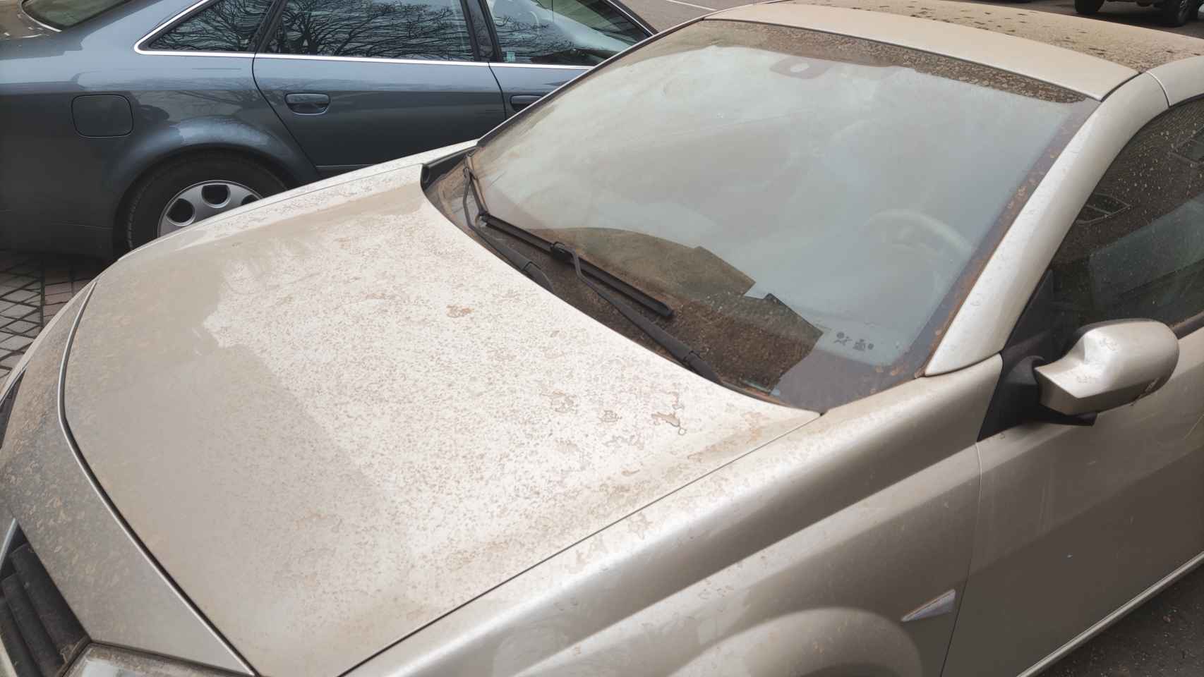 Manto fino de polvo que ha cubierto la superficie  de los coches