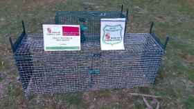 Jaulas trampa decomisadas por el Servicio Territorial de Medio Ambiente de la Junta en Segovia