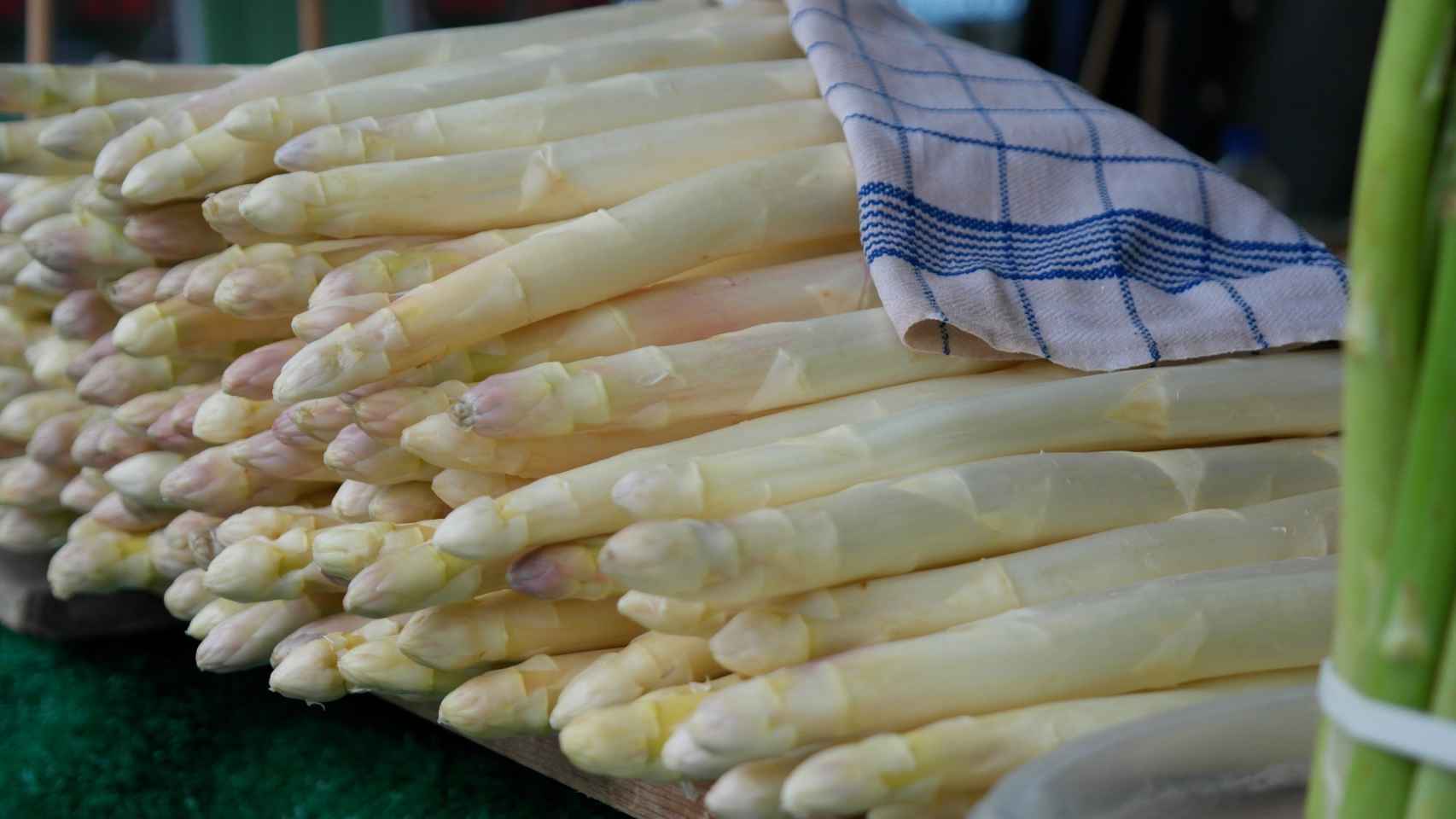 El espárrago, una de las joyas de la corona de la agroalimentación navarra. FOTO: Pixabay.