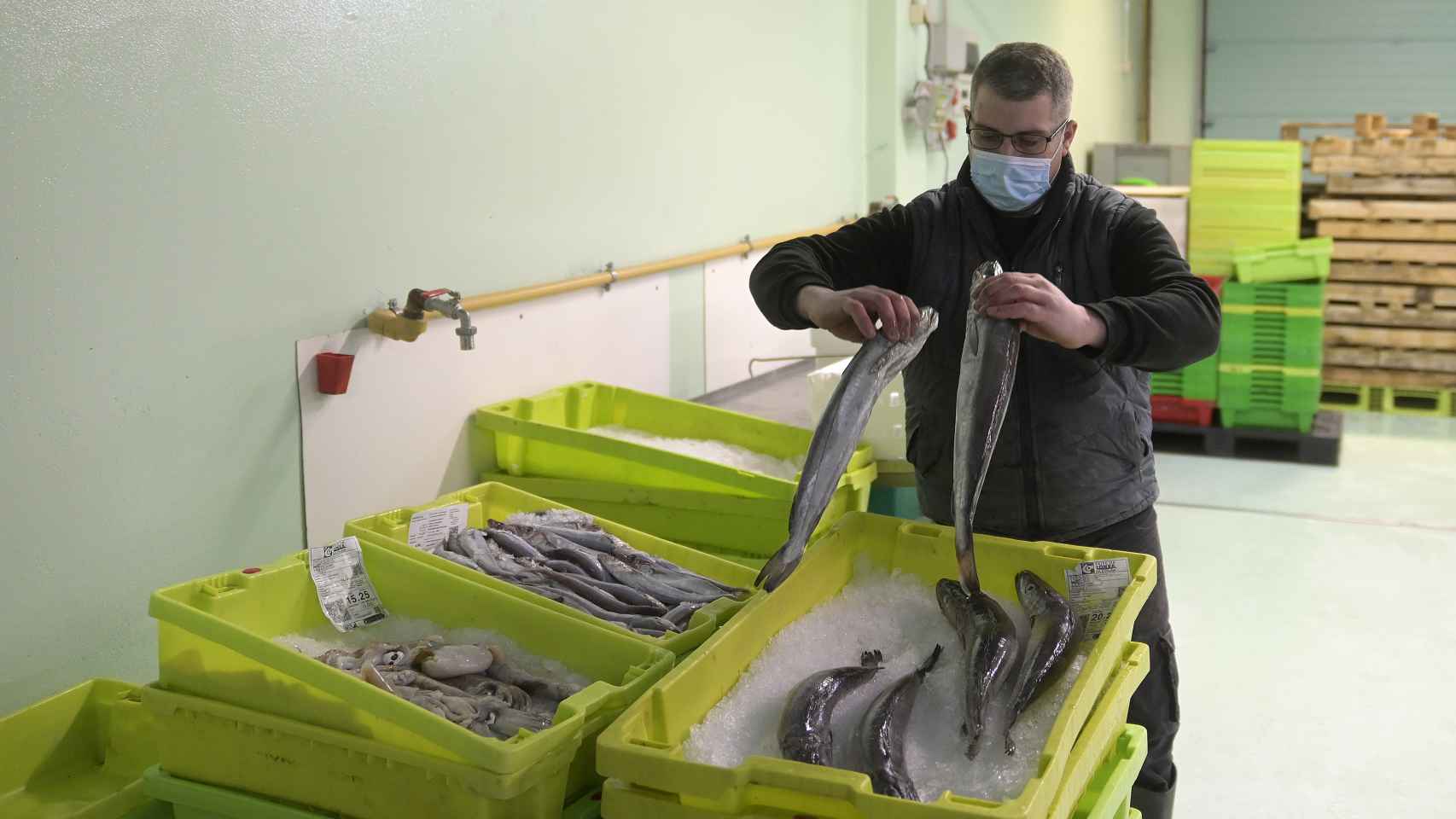 Un trabajador maneja pescado en cajas de plástico, en la lonja de A Coruña.