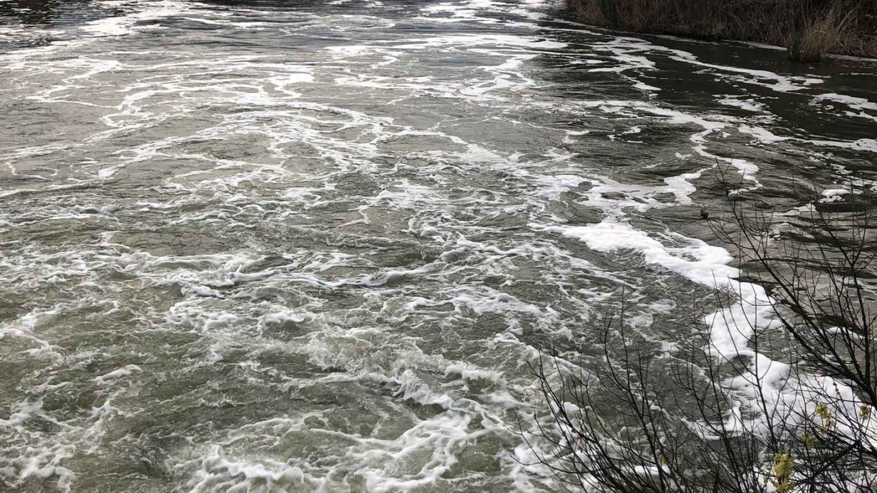 Agua contaminada del río Tajo.