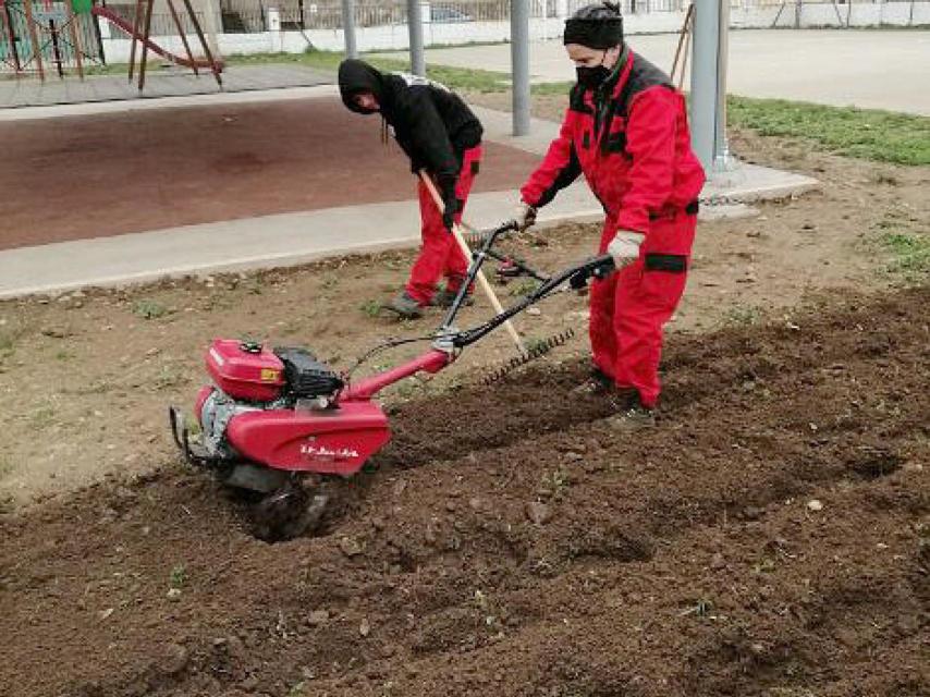 Preparación de un huerto escolar en Ponferrada