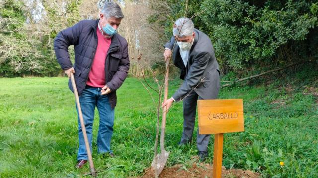 Plantación de árboles en el Día del Árbol