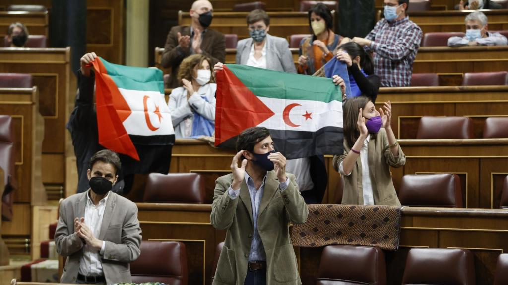 Podemos exhibe banderas saharauis en el Congreso.