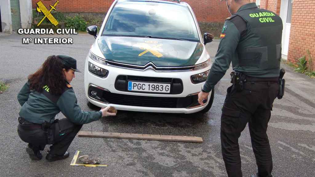 La Guardia Civil analiza las piedras y tabla con puntas del suceso.