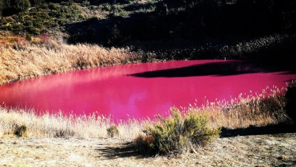 Lagunillo de las Tortugas en Cañada del Hoyo (Cuenca).