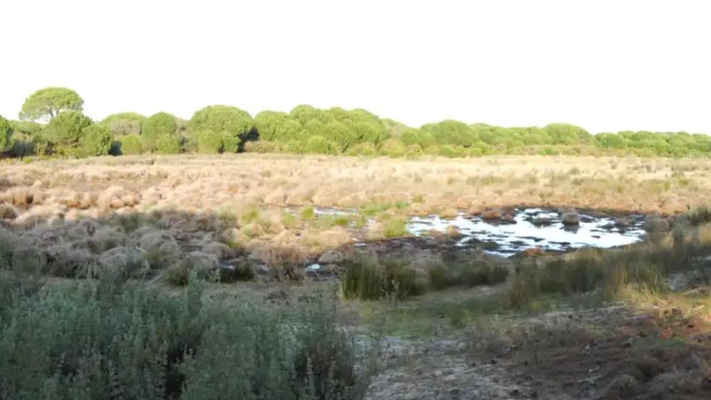 La laguna del Charco del Toro.