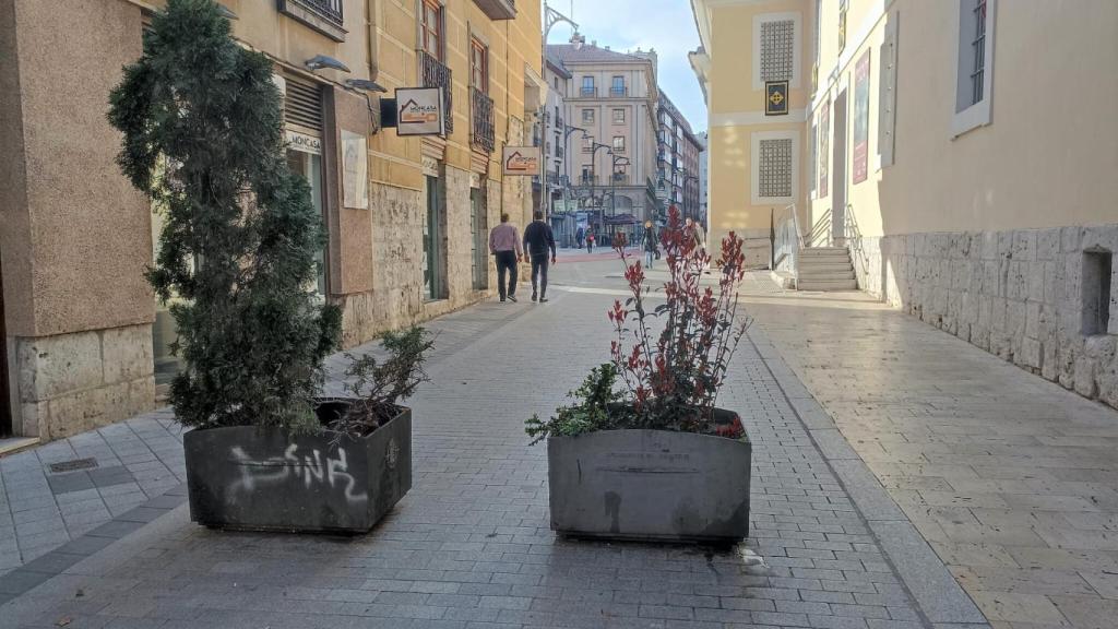 Jardineras que serán retiradas en la entrada de San Lorenzo a María de Molina