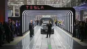 La primera fábrica de Tesla en Europa enfurece a los grupos ecologistas locales por su impacto ambiental